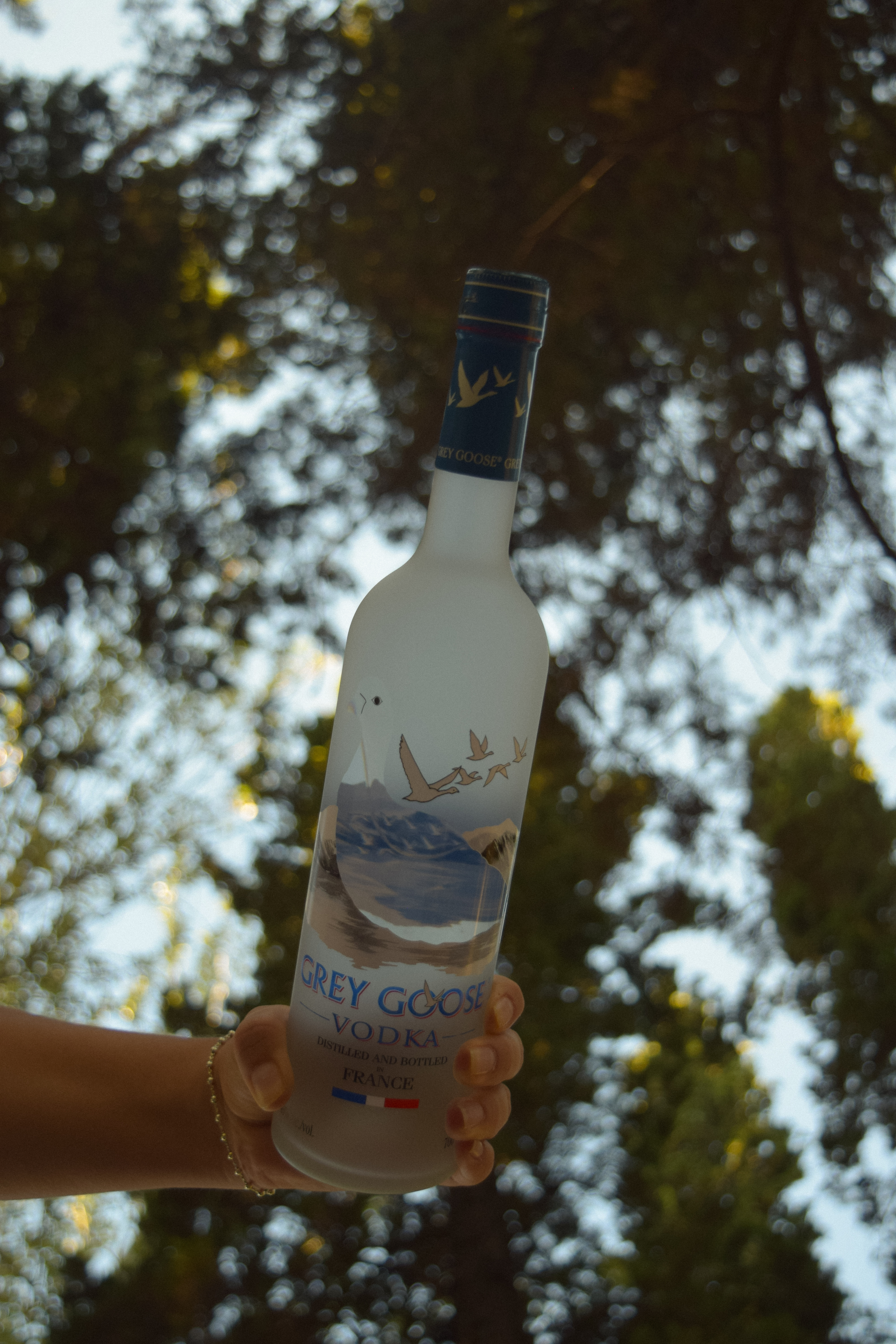 Vodka Grey Goose 750ml